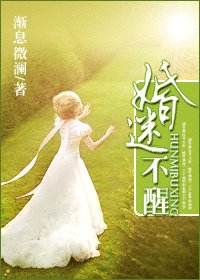 婚“迷”不醒(高干)